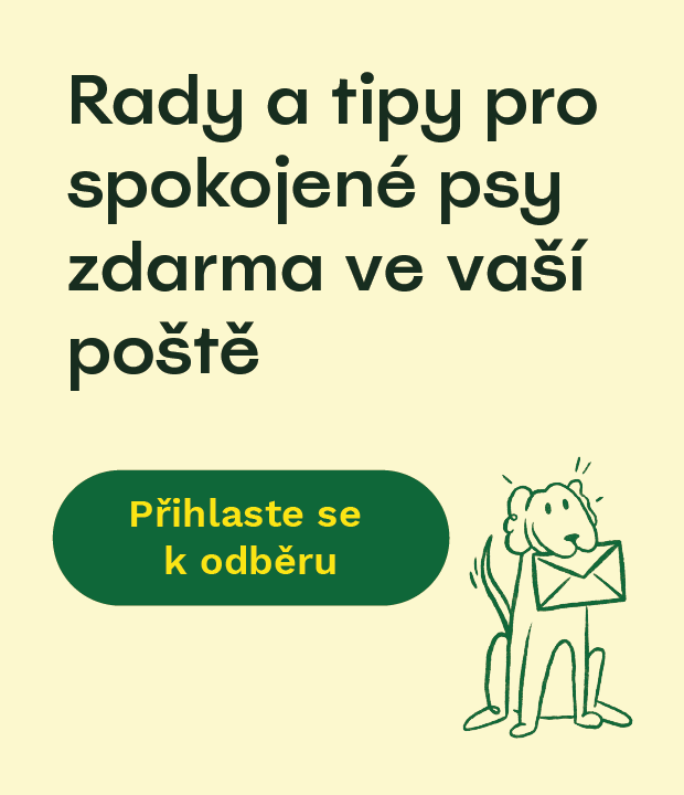 Přihlaste se k odběru