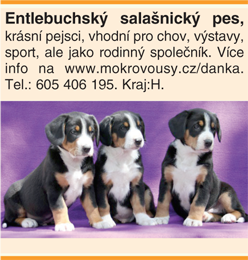 Inzerát s fotografií