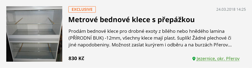 Inzerát EXCLUSIVE