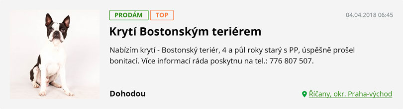 Topovaný inzerát