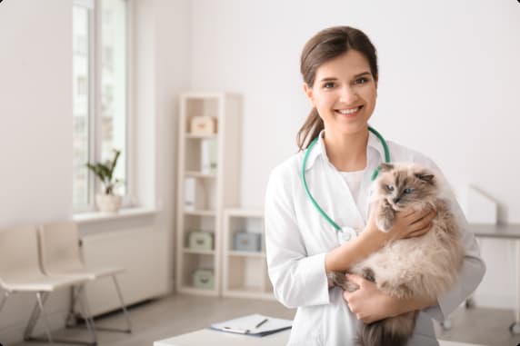 Hledáme veterináře/veterinářku pro drobná zvířata