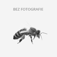 Včelstva s letošní matkou
