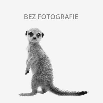 Vakoveverky het Leucistic a přírodní.