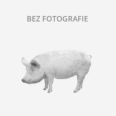 Chovný pár, i jednotlivě