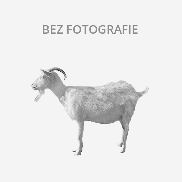 Prodám Česká bílá krátkosrstá koza (Ledeč nad Sázavou, okr. Havlíčkův Brod)