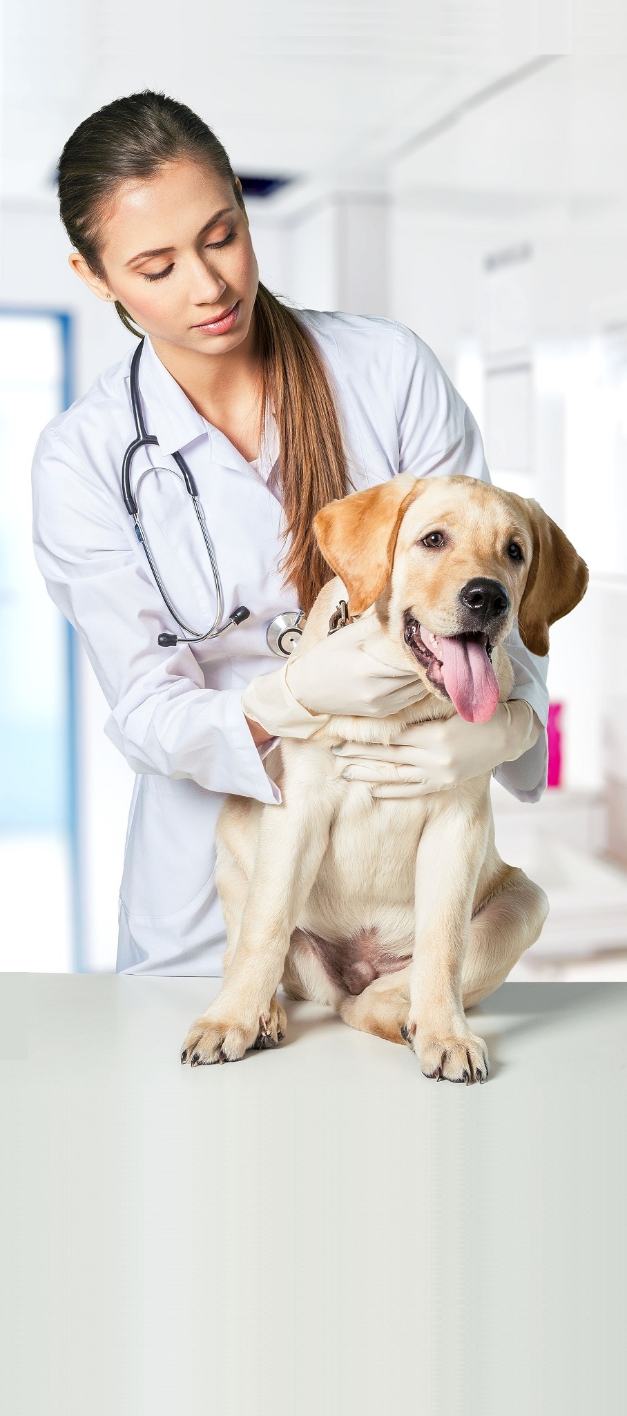 veterinářka a štěně