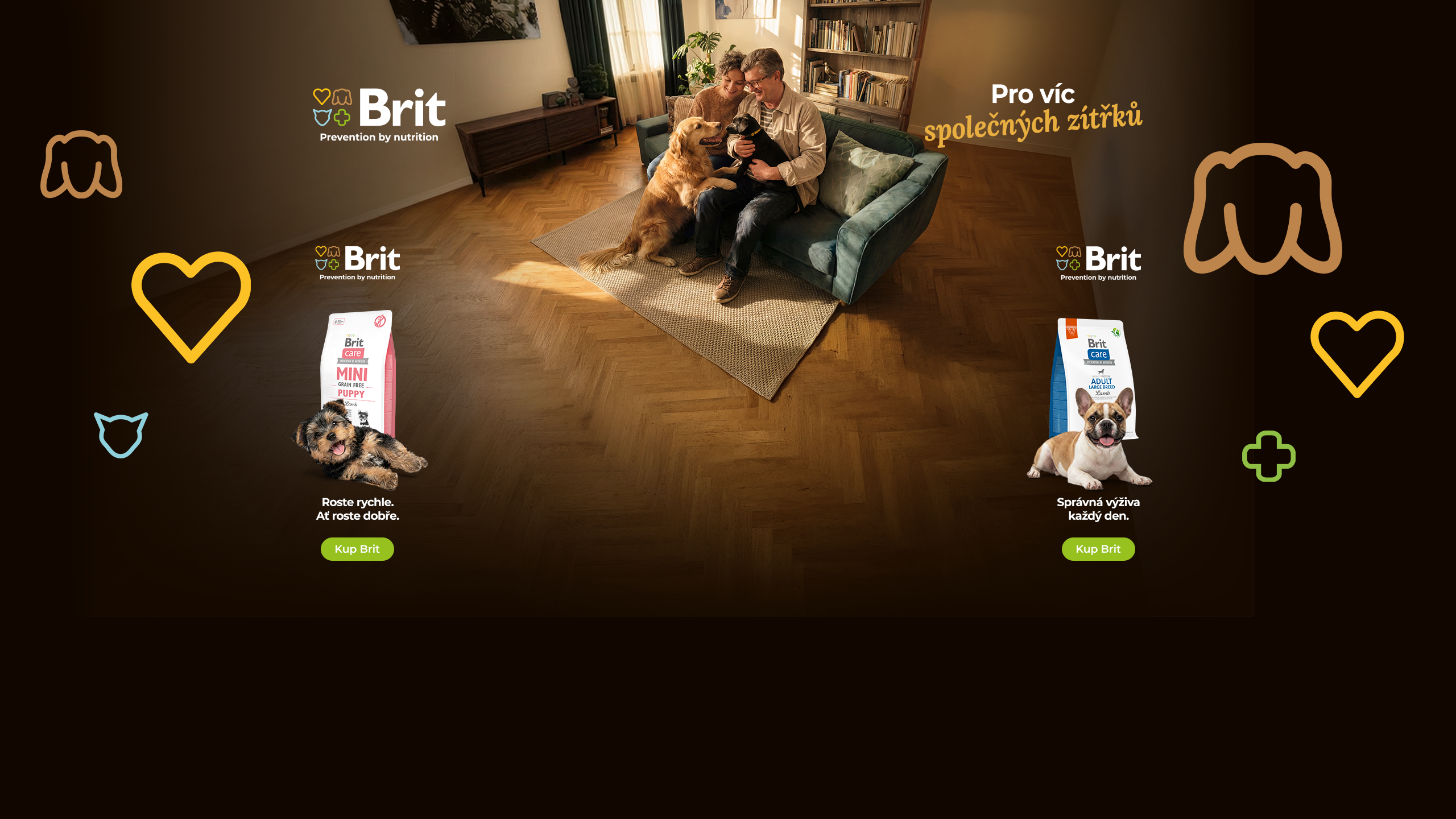 Brit - Branding PSI