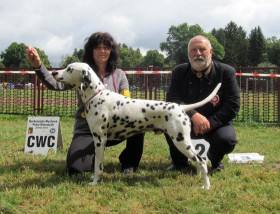 Hillary Tenzing Dalmadami (LUA)