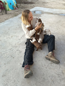 Proč je socializace štěňat tak důležitá?