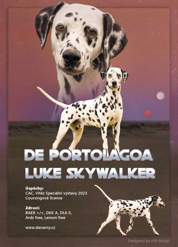 De Portolagoa Luke Skywalker (Dalmatin)