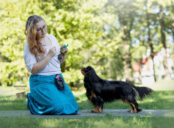 CUBA LIBRE Born for Royals (Kavalír king charles španěl)