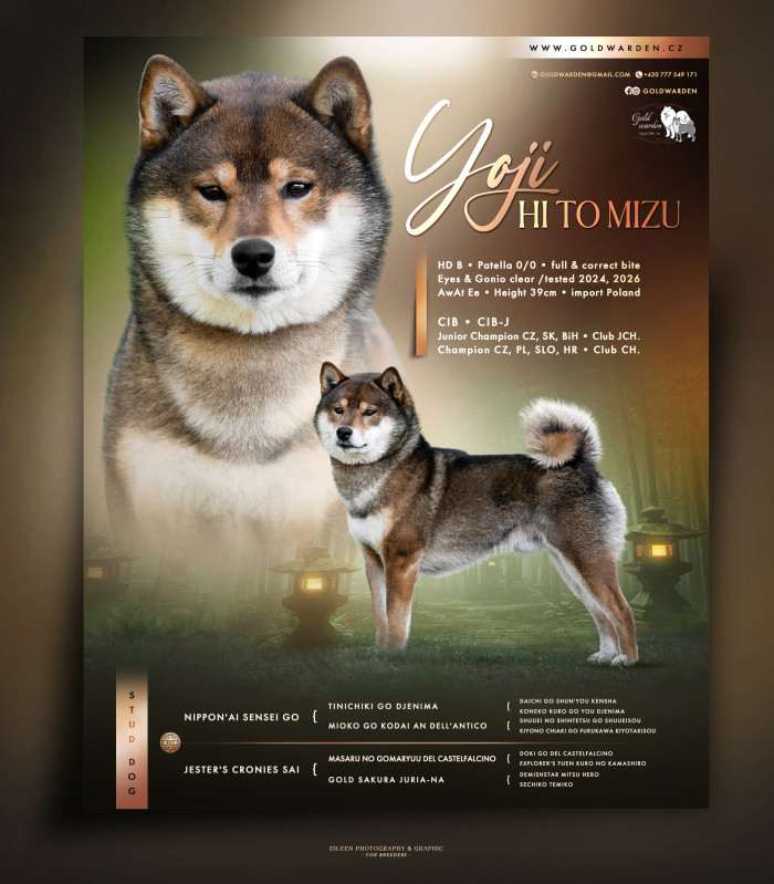 Yoji Hi to Mizu (Shiba inu)