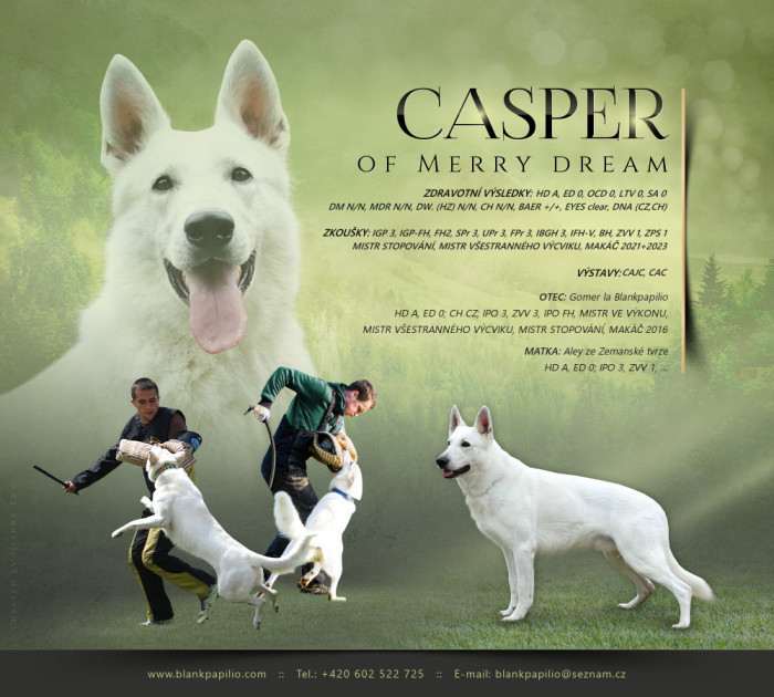 Casper of Merry Dream (Bílý švýcarský ovčák)