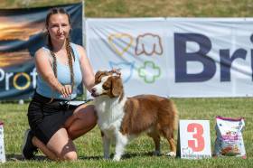 Miniaturní americký ovčák - Aussieland