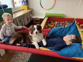 Miniaturní americký ovčák - canisterapie - Aussieland