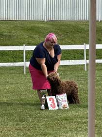 Victor de Azocarrem (Španělský vodní pes)