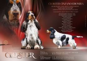 Cloister Cinzano Ebonira