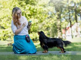 CUBA LIBRE Born for Royals (Kavalír king charles španěl)