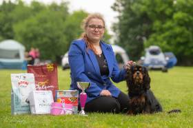 CUBA LIBRE Born for Royals (Kavalír king charles španěl)