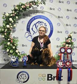 CUBA LIBRE Born for Royals (Kavalír king charles španěl)