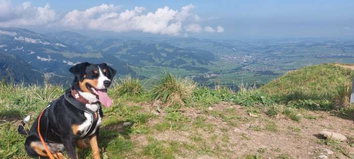 Appenzell v Appenzellu