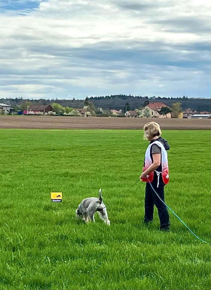 Opale Saltus ze Zahrabske (Knírač střední)