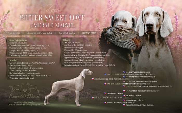 Bitter Sweet Love Emerald Marvel (Výmarský ohař)