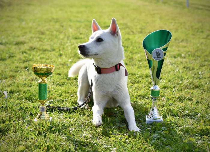 Unmay No Akay Ito Rini (Kishu inu)