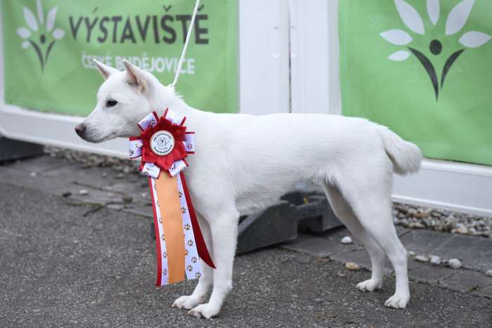 Unmay No Akay Ito Rini (Kishu inu)