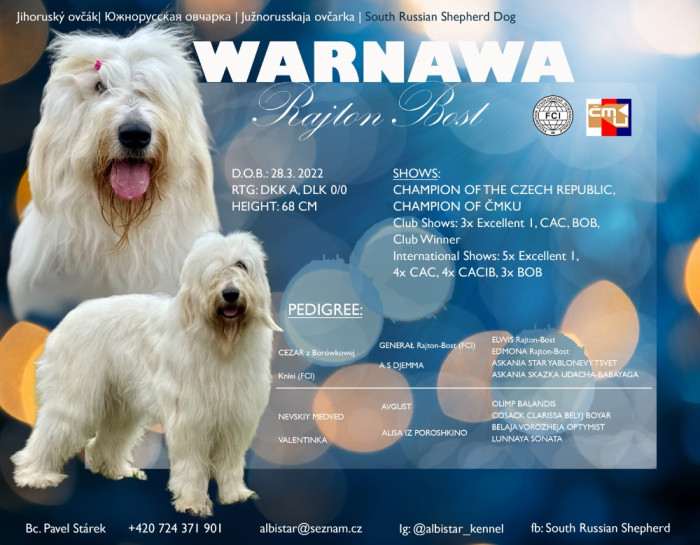 Warnawa Rajton-Bost (Jihoruský ovčák)