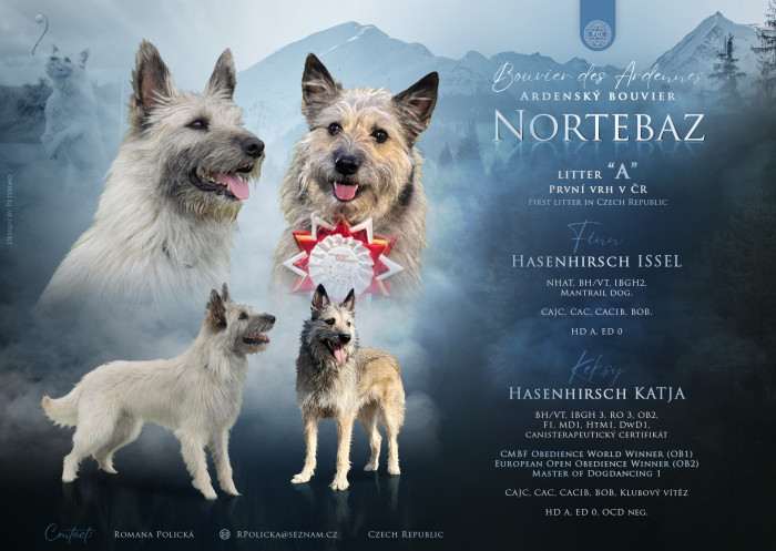 Hasenhirsch Katja (Keksy) (Ardenský bouvier)