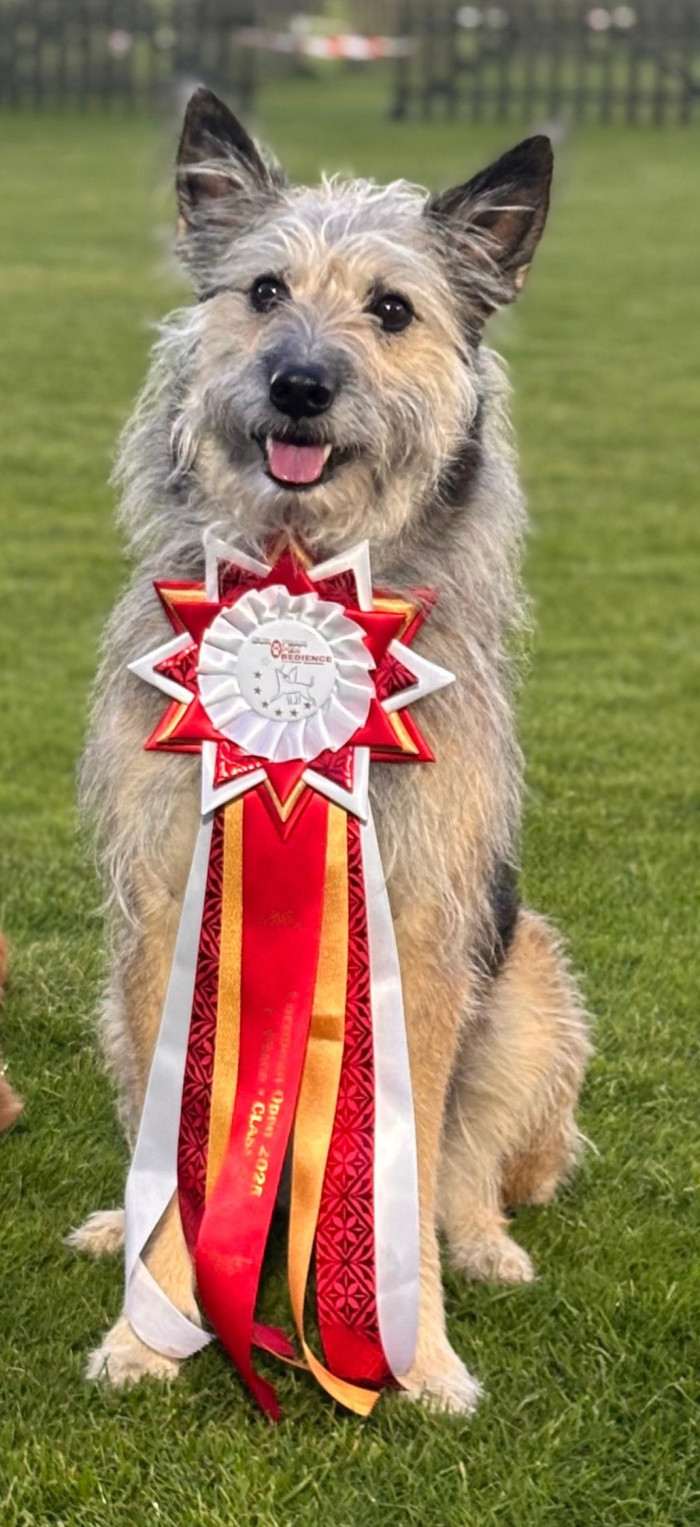 Hasenhirsch Katja (Keksy) (Ardenský bouvier)