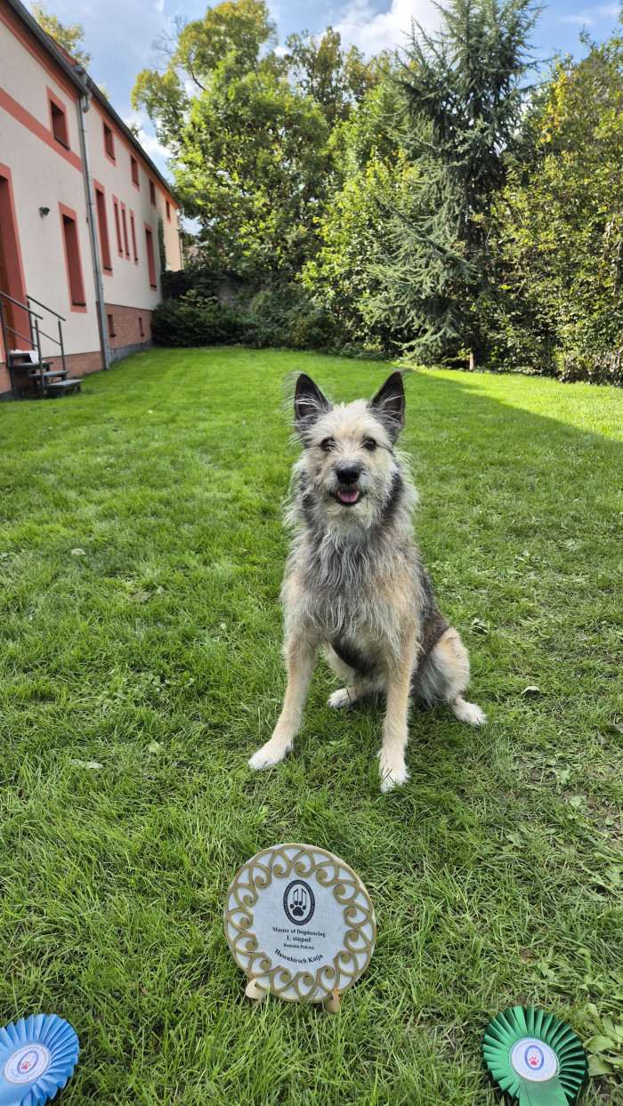 Hasenhirsch Katja (Keksy) (Ardenský bouvier)