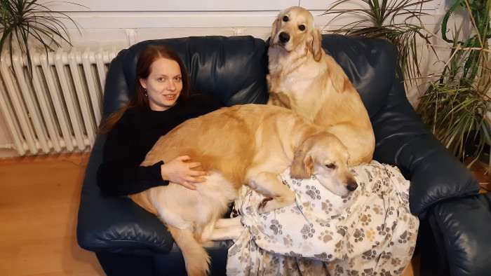 Bonnie Golden Linden (Zlatý retrívr)