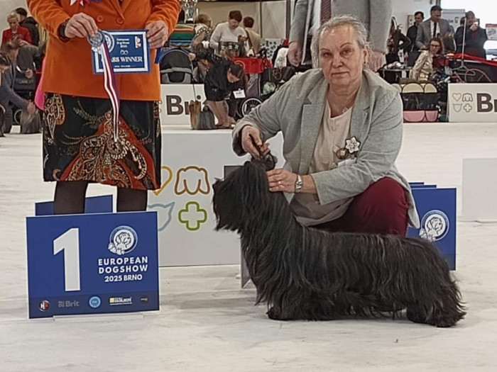 Juliet Sagasky Bohemia Čoko (Skajteriér)