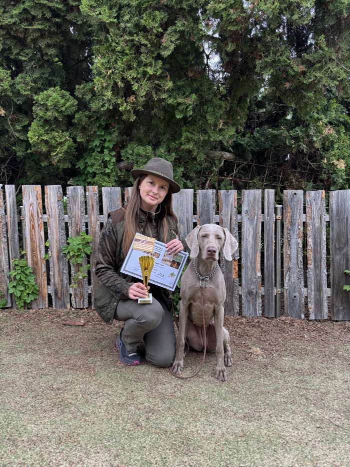 Fler Beauté D’Argento Suerte (Výmarský ohař)