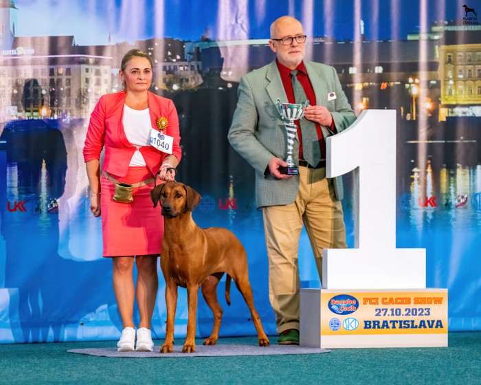 Africaans Stefani Sabjörg (Rhodéský ridgeback)