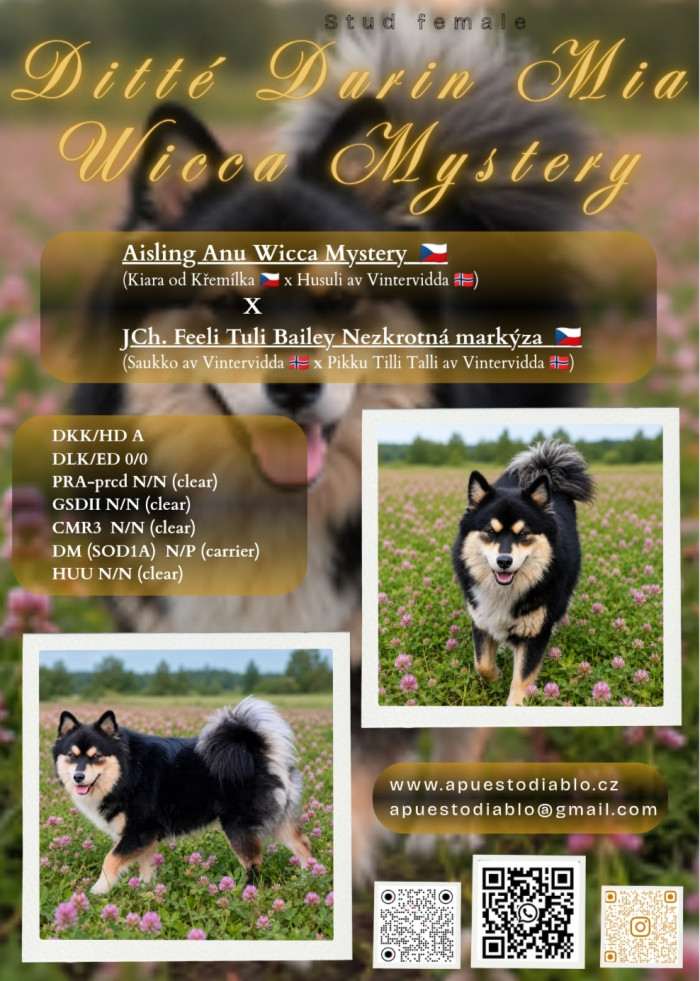 Ditté Durin Mia Wicca Mystery (Lapinkoira)