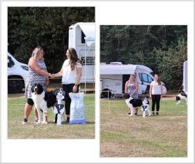 Wafaa Radu us Arsnouphis (Landseer)