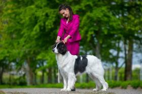 Bendis Chronos us Arsnouphis (Landseer)