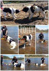 Bendis Chronos us Arsnouphis (Landseer)