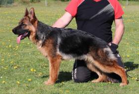 Chelsea z Tisové hory 7 měsíců