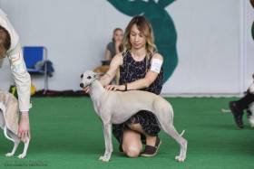 Caylee Iksis (Vipet)