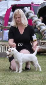 Mia Jessy Kutcher-Chan (Parson Russell teriér)