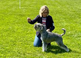 Opale Saltus ze Zahrabske (Knírač střední)