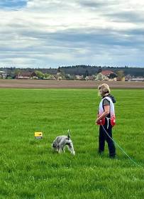 Opale Saltus ze Zahrabske (Knírač střední)