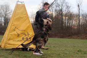 Zira Z Gemera (Německý ovčák)