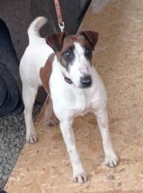 Ula Bohemia Šibeník