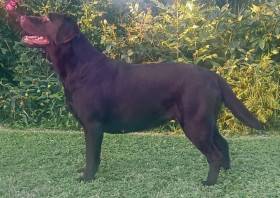 Named Namaste Tetřeví dvůr