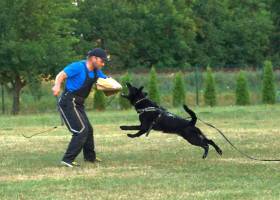 Orka z Jirosu (Německý ovčák)